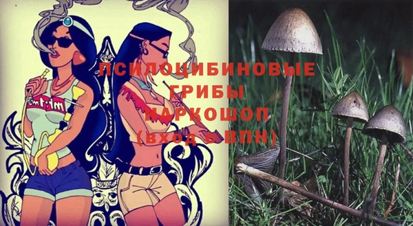 хмурый Володарск